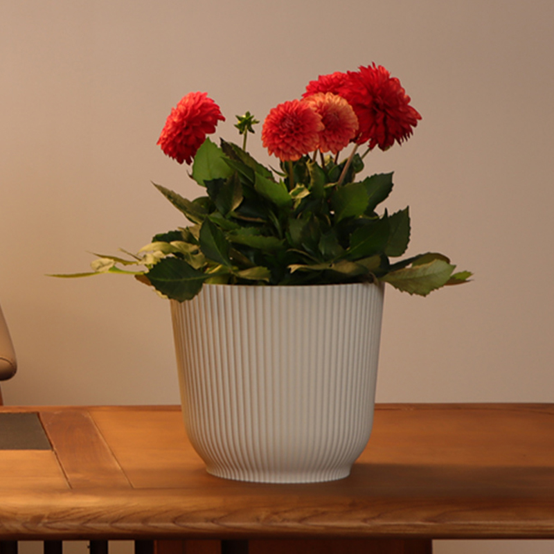 TW-01/02/03/04 Frostproof UV-Resistant Colorful Flower Pot